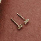 Duo Prong Round Diamond Stud Earrings in Solid 14k Gold | Anima Jewels