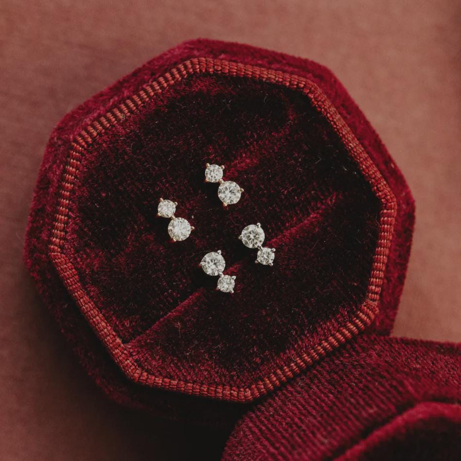 Duo Prong Round Diamond Stud Earrings in Solid 14k Gold | Anima Jewels