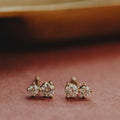 Duo Prong Round Diamond Stud Earrings in Solid 14k Gold | Anima Jewels