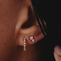 Duo Prong Round Diamond Stud Earrings in Solid 14k Gold | Anima Jewels